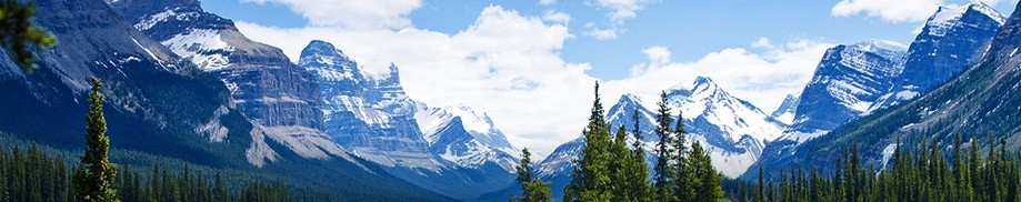 Larlyn Property Management Kelowna | Canadian property and condominium management company